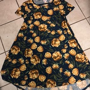 Perfect condition LulaRoe Carly dress, size Small
